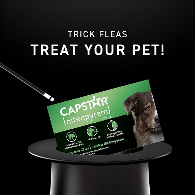Capstar for Dogs (nitenpyram), Fast-Acting Oral Flea Treatment for Dogs Over 25+ lbs, Vet-Recommended Flea Medication Tablets Start Killing in 30 Minutes, 6 Doses