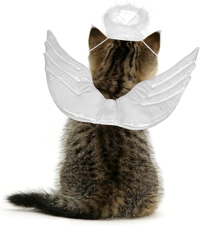 POPETPOP Pet Dog Cat Halloween Costume Angel Wings Shape Clothing - Creative Pet Cat Makeover Clothes for Halloween Festival Party Special Events - Pet Clothes Supplies - Size S (White)