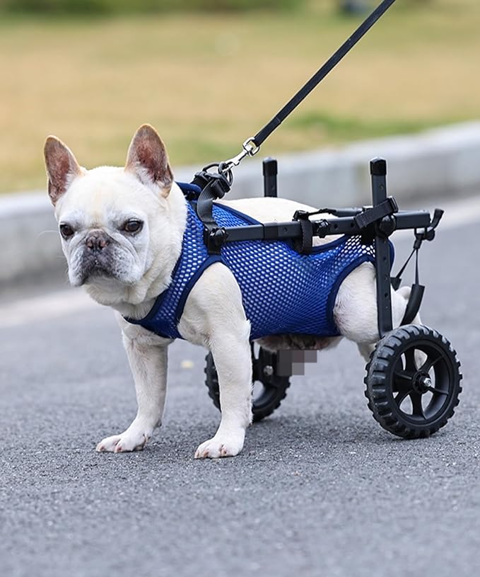 Small Dog Wheelchair for Back Legs, Upgraded 5.5in Textured Wheel, Adjustable, Disabled Pets, Leg Brace, Mobility Aid for Small Pets, Hind Limb Rehabilitation, Older, Disabled (S（Chest 13.4-17.7in）)