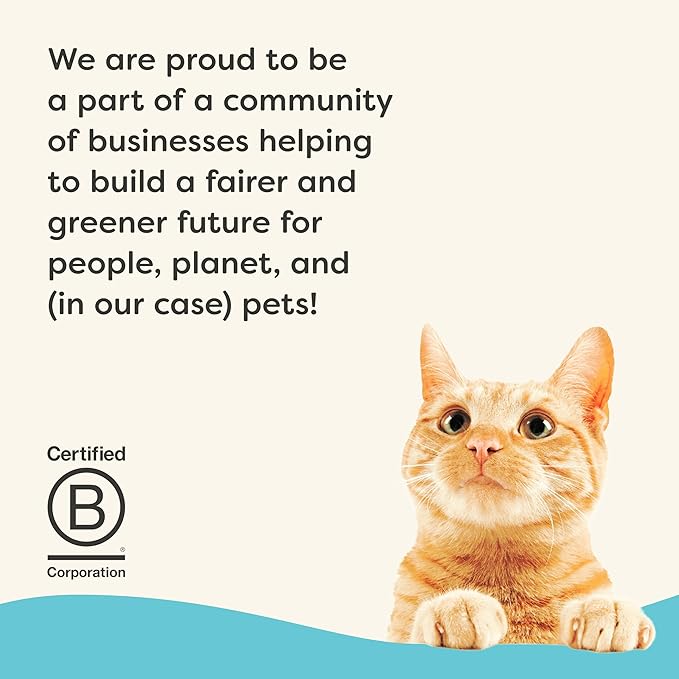 Applaws Vitality Wet Cat Food Paté, Natural Canned Cat Food, Wet Food for Cats with Added Vitamins and Minerals, Grain Free, Carrageenan Free, Tuna Fillet (24 Count, 5.5oz Cans)