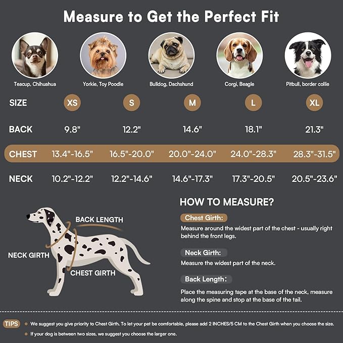 Queenmore Warm Dog Coat, Cold Weather Puffer Dog Coat Vest, Quilting Winter Pet Jacket Ultra Thick Plush Fleece Lining Pet Clothes for Dogs with Storage Pockets (Light Blue, Small)