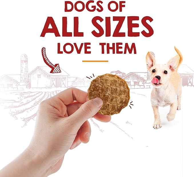 Riley's Waffles Chicken Chips for Dogs - USA Sourced 100% Chicken Breast - Dehydrated and Lean Jerky Treats - Single Ingredient Dog Treat - 6oz