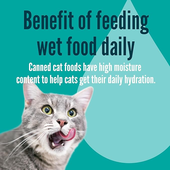 A Strong Heart Canned Wet Cat Food, Chicken Shreds with Organ Meat in Sauce -3 oz Cans (Pack of 24), Made in The USA with Real Chicken