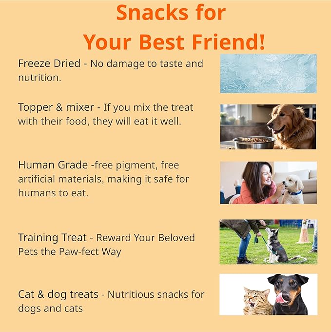 Puppyluv Treat - Freeze Dried Salmon Dog & Cat Treats, Wild Caught, Single Ingredient, High Protein, Omega 3/6/9, Grain Free, Gluten Free, 3.0oz x 3p