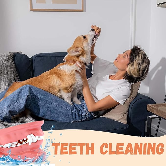 Dog Treats Chicken Jerky Strips for Dogs, Natural Healthy Dog Jekry with Taurine, Real Chicken Twists High Protain Low Fat, Training Rewards Treats for Small Medium Large Dogs 10.6oz