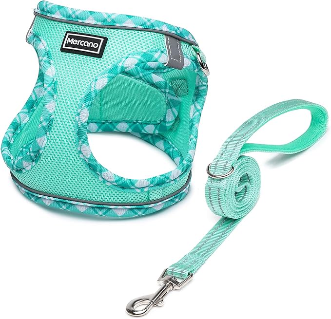 Mercano Soft Mesh Dog Harness and Leash Set, No-Chock Step-in Reflective Breathable Lightweight Easy Walk Vest Harnesses with Safety Buckle for Small Dogs, Cats (Light Green, XS)