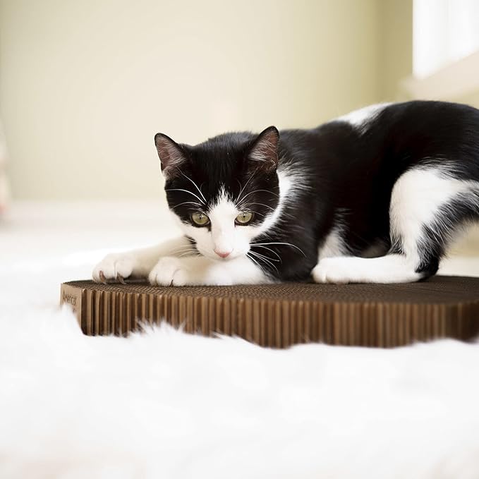 Cat Scratcher by Americat – Made in USA Cardboard Scratching Pad & Lounger – X Large, 2-Sided, Heavy, No-Shedding, Long-Lasting (Cat)