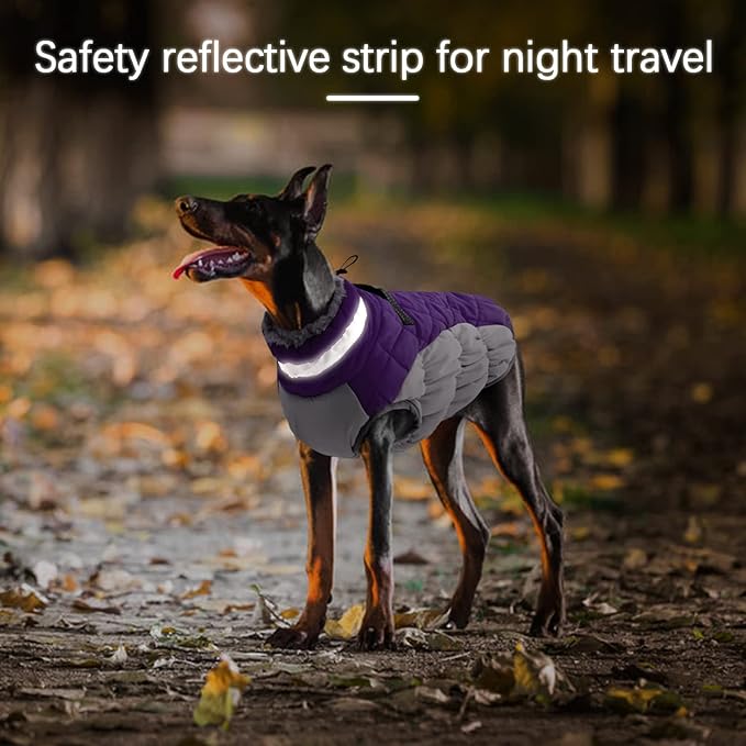 Winter Dog Coat,Large Dog Jacket,Waterproof Pet Jacket with Back Zipper,Pet Coat with Harness Built in,Warm Dogs Coat with Fleece Lined, Snow Jacket Clothes French Bulldog Shiba Inu,Purple,L