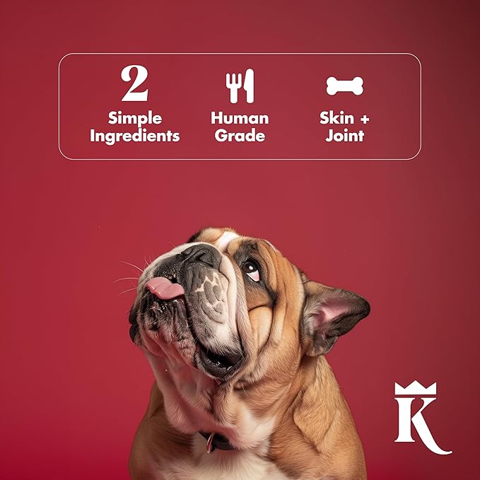 King Lou Pets + BK Pets - Bone Broth Booster Holistic Defense - Beef Bone Broth Topper - Beef Bone Broth and Turkey Tail Mushroom - Bone Broth for Holistic Immune Defense - Dogs and Cats Bone Broth