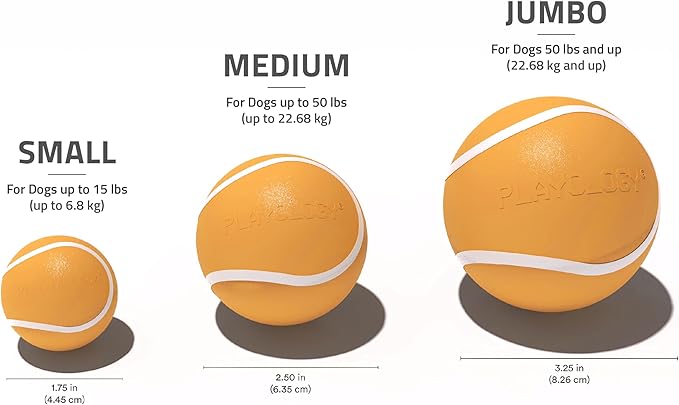 Playology Dog Toys | Squeaky Chew Ball - Bouncy Durable Floating Fetch Ball for Dogs | Medium Cheddar Cheese Scented Toy - Easy to Clean and Made from Non Toxic Materials