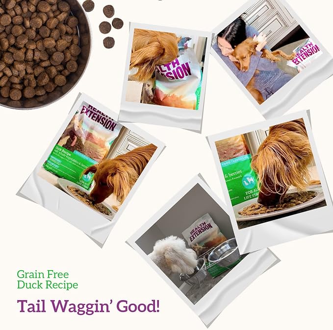 Health Extension Grain Free Duck & Sweet Potato Dry Dog Food (23.5 lb / 10.66 kg) - Lean Protein Formula with Turmeric & Antioxidants for Healthy Skin & Digestion