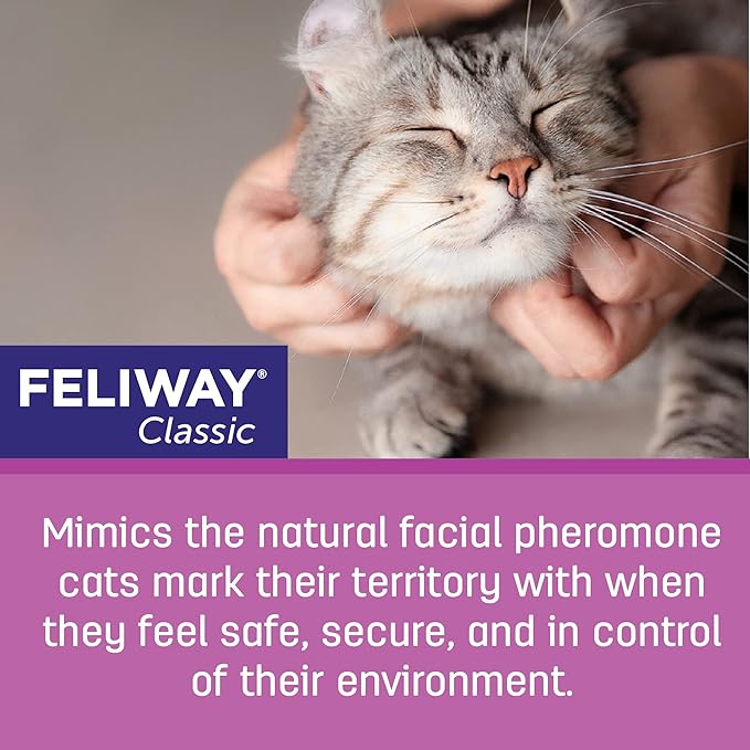 FELIWAY® Classic 3 x 30 Day Cat Calming Refills for Pheromone Diffuser, 3 x 48ml Value Pack - Helps Reduce Common Signs of Stress in Cats & Kittens, Enhanced Calming