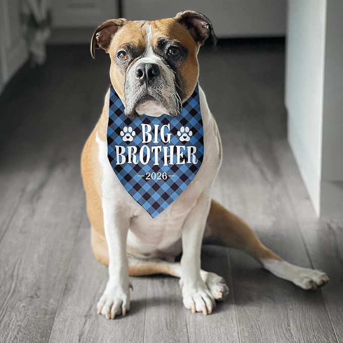 Big Brother 2026 Bandana for Dog Gender Reveal Bandana Pregnancy Announcement Photo Prop for Dog Lover Pet Scarf Accessories for Small Medium Large Dog