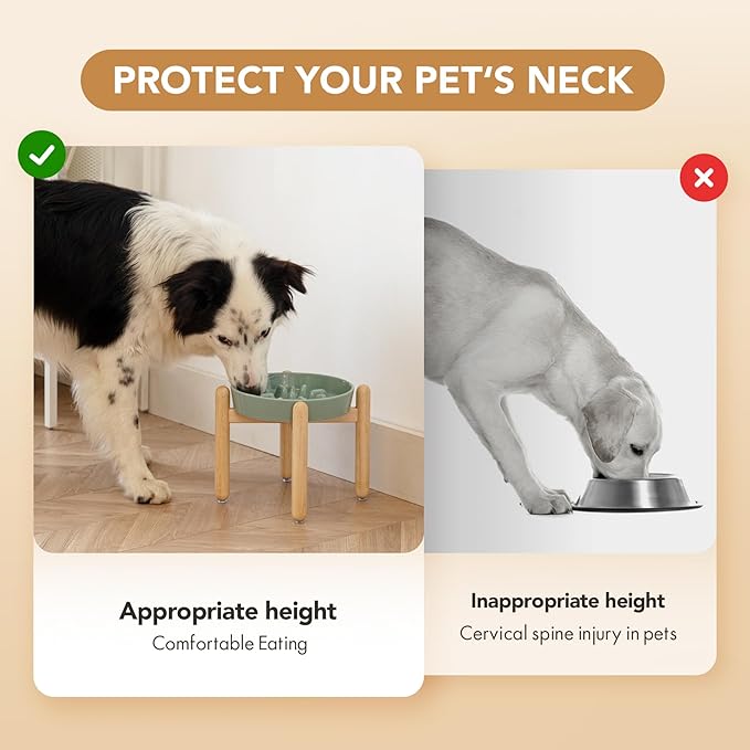 8.2inch Ceramic Dog Raised Slow Feeder Set, Elevated Bowl with Wooden Stand for Large and Medium Dog, Slow Feeder Dish for Fast Easters, Stop Bloat(Light Green, Single Bowl+ Stand)