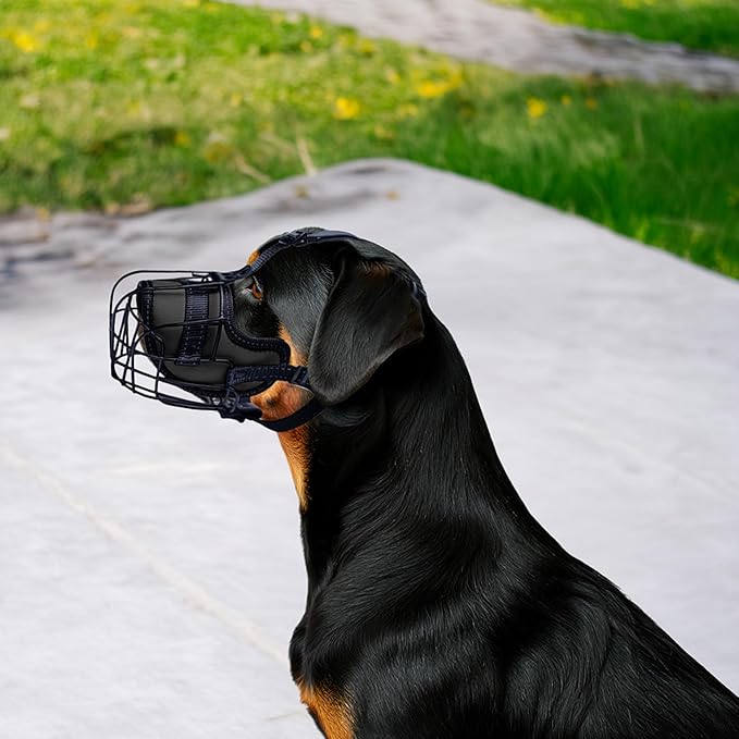 OOPSDOGGY Metal Dog Muzzle for Large Dog, Adjustable Brethable Wire Basket for Rottweiler to Prevent Biting Chewing (Black, Rottweiler)