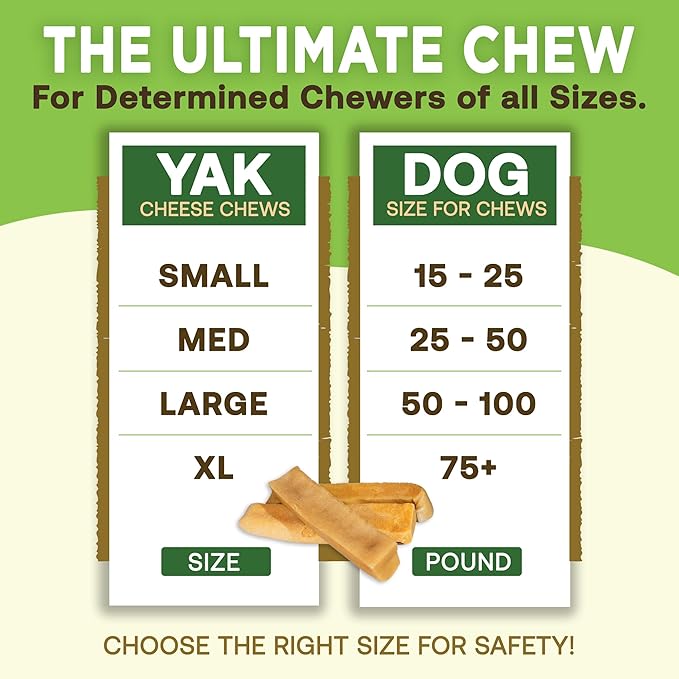 EcoKind Premium Gold Yak Cheese Himalayan Dog Chews, Dog Treats Large Breed, All Natural, High Protein Dog Chew, Cheese, Large - 5 Chews