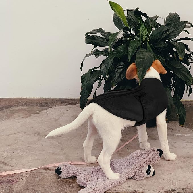 Queenmore XL Dog Sweaters, Soft Fleece Vest Pullover Dog Jacket with Leash Hole, Warm Winter Dog Clothes Cold Weather Doggy Dachshund Sweater for Large Dogs Cats Boy or Girl (Black, XL)