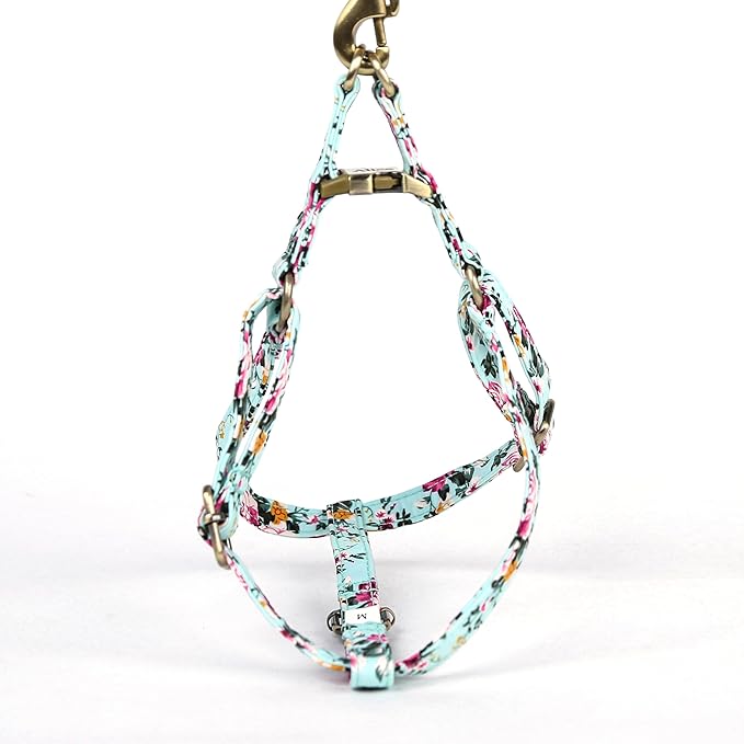 Angie and Allie Organic Cotton Personalized Step in Dog Harness,Custom Dog Halter Vests,Adjustable No Pull Canine Halter Harness for Small Medium Large Dogs