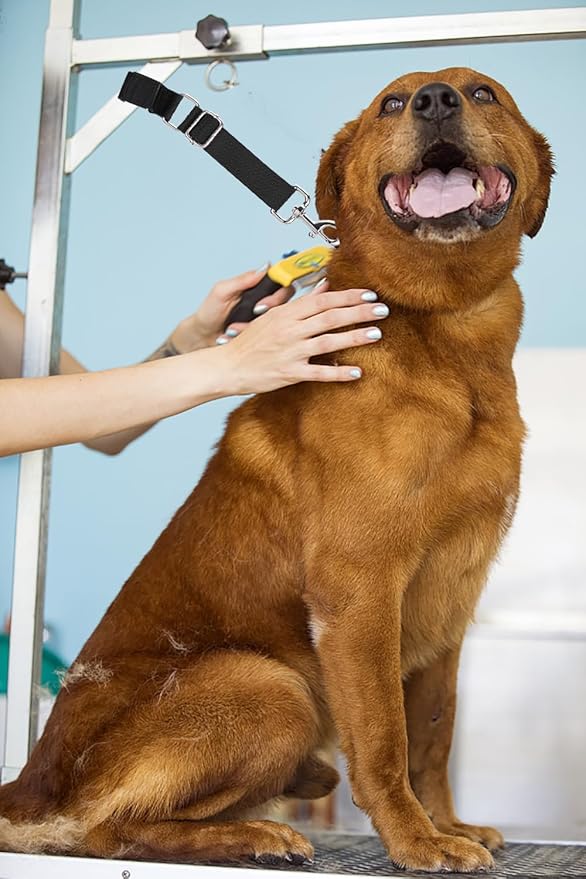 Pet Dog Grooming Loops Adjustable Nylon Restraint Loop Table Arm Accessories Extension Straps Extender Strap for Dogs Grooming Table Bathtub Trimming (Sky Blue & Black)