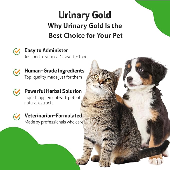 Pet Wellbeing Urinary Gold for Dogs - Supports Urinary Tract Health, Normal Frequency, Healthy Immune Response, Stoneroot, Hydrangea - Vet-Formulated Herbal Supplement 4 fl oz (118 ml)