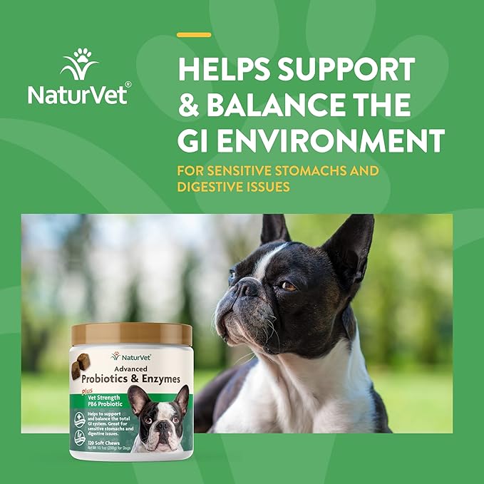 NaturVet Advanced Probiotics, Healthy Enzymes and PB6 Probiotic Supplement for Your Dogs Stomach, 120 Soft Chews & No Scoot for Dogs - 120 Soft Chews - Supports Healthy Anal Gland & Bowel Function