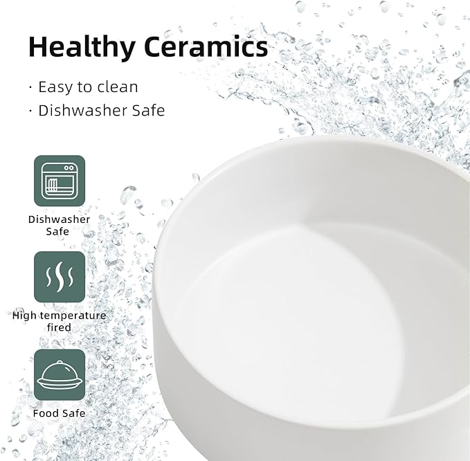 Ceramic Raised Double Bowls Set with Stand, Food & Water Bowls for Large Breed Dogs, Weighted Dog Dishes, Pet Bowl(8.2'',60OZ, White)