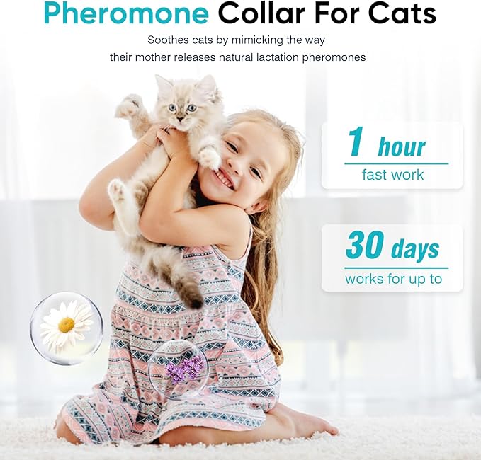 6 Pack Calming Collar for Cats Cat Calming Pheromones Collar Stress and Anxiety Relief for 30 Days Pheromone Collars Adjustable Calm Care Products Anti Aggression Stop Meowing Relaxer for Cats in Heat