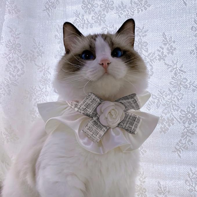 Elegant Lace Cat Collar with Cute Bow,Kitty Necklace with Bow Tie and Flower,Pet Lace Bib Collar with Cute Bow,Cat Princess Costumes,White,1 Piece