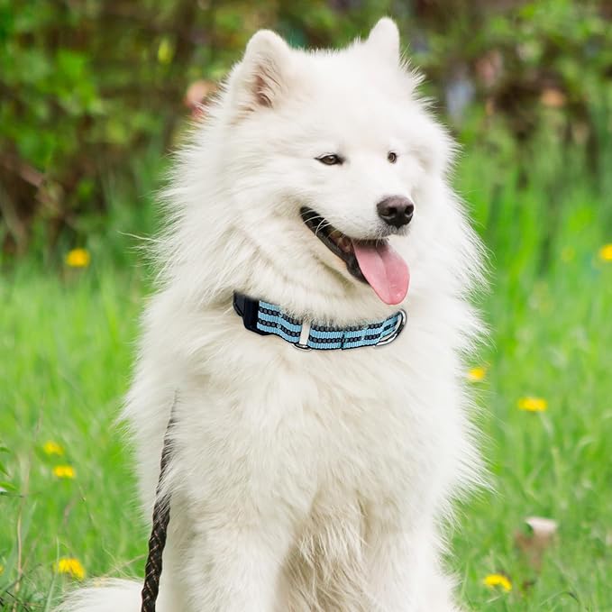 Hikiko Martingale Dog Collars Reflective Nylon Dog Collar with Quick Release Buckle Adjustable Training No Slip Dog Collar (Medium, Sky Blue)