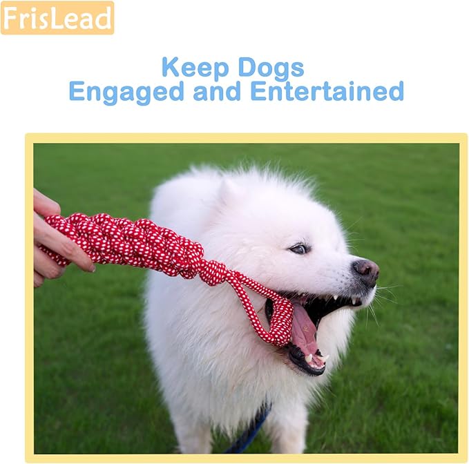 Dog Toys, Tough Rope Toy, Frisbee, Puppy Teething Toys, 2-in-1 Tug of War Rope Flying Disc, Puppy Chew Toys for Teething, Lick mat for Dogs, Interactive, Durable Outdoor Dog Toy (Iris Blue)