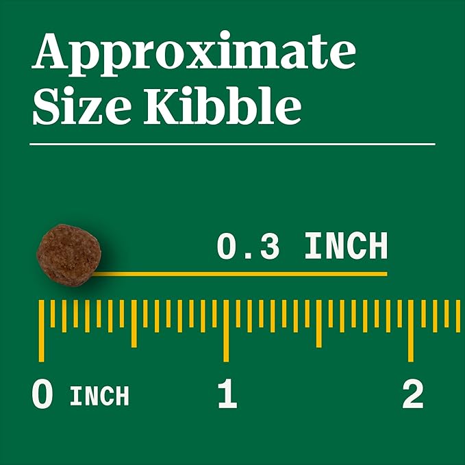 Nutro Natural Choice Small Bites Adult Dry Dog Food, Lamb and Brown Rice Recipe, 5 lbs.