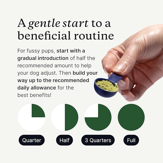 PetLab Co. ProBright Advanced Dental Powder - Dog Breath Freshener - Teeth Cleaning Made Easy – Targets Tartar & Bad Breath - Packaging May Vary - Formulated for Small Dogs