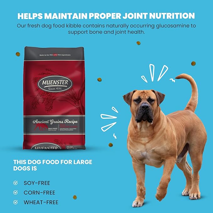Muenster Ancient Grains Chicken & Pork Dry Dog Food, 22lb - Gluten-Free, High Protein, Digestive Support