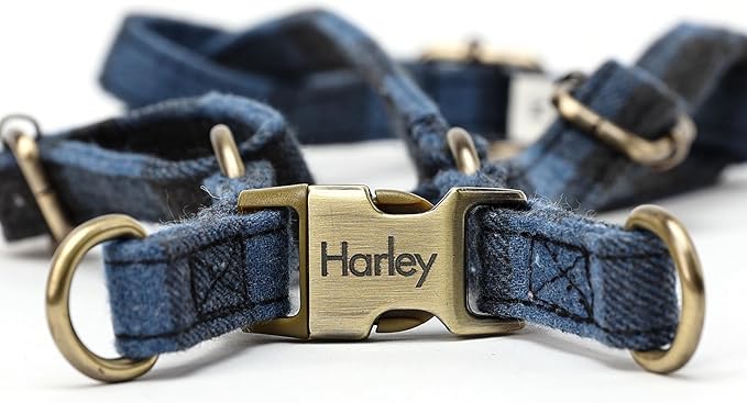 Angie and Allie Organic Cotton Personalized Step in Dog Harness,Custom Dog Halter Vests,Adjustable No Pull Canine Halter Harness for Small Medium Large Dogs