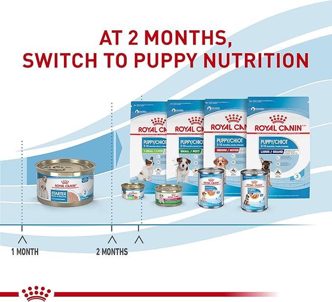 Royal Canin Size Health Nutrition Starter Mother & Babydog Mousse in Sauce Dog Food, 5.1 oz (Pack of 24)