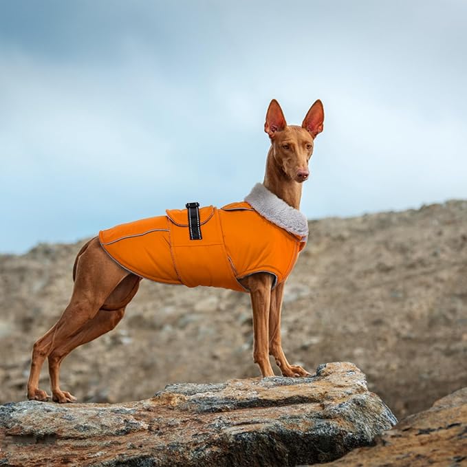 Lelepet Warm Dog Coat Reflective Fleece Vest Waterproof Dog Jacket with Adjustable Buckle Hook & Loop Windproof Cold Weather Coats for Small Medium Large Dogs, Orange, M