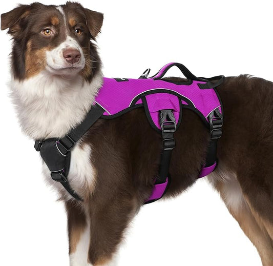 rabbitgoo Escape Proof Dog Harness, Soft Padded Full Body Pet Harness, Reflective Adjustable No Pull Vest with Lift Handle and Leash Clip for Large Dogs Walking Hiking Training, M, Purple