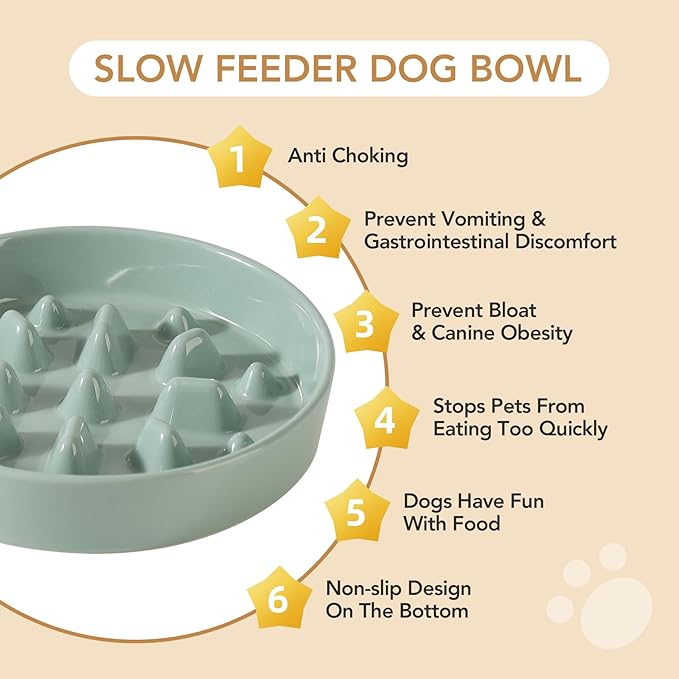 Ceramic Raised Slow Feeder Dog Bowl Set, Elevated 7.3inch Bowl and 8.2inch Slow Pet Food Dish with Wooden Stand for Medium and Large Dog (2 x Light Green+ Stand)