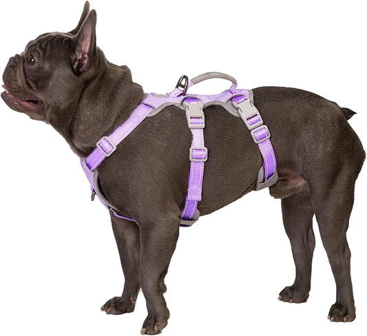 Huntboo Escape Proof Dog Harness, Secure Dog Harness No Escape,Fully Reflective Harness with Handle,Breathable,Durable,Adjustable Vest for Small Dogs Walking,Training & Running Gear(Lavender Purple,S)
