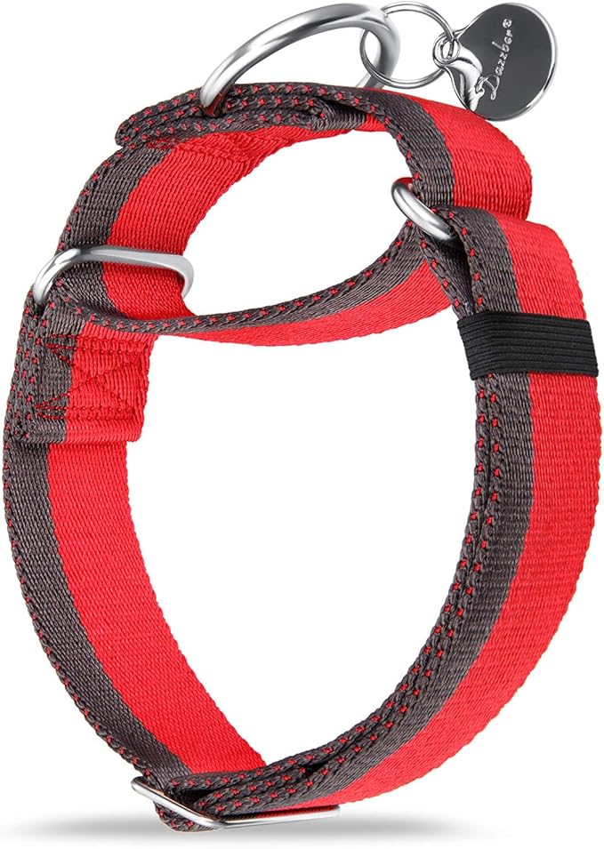 Martingale Collar 1.5 Inch Wide 1200D Extra Strong Nylon Dog Collar, No Pull Heavy Duty Dog Collar with 2-Color Stripe for Medium to XLarge Dogs (Medium, 1 1/2 Inch Wide, Red & Grey)