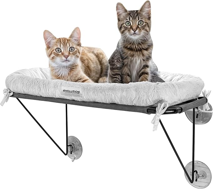 EvolutionUSA Cat Window Perch, Durable Feline Window Bed, Comfy Perch for 360 Views, Durable Elevated Cat Bed Lounger, Ideal Cat Window Hammock for Large Cats, Heavy Duty Window Bed, 24.4x12.6 in