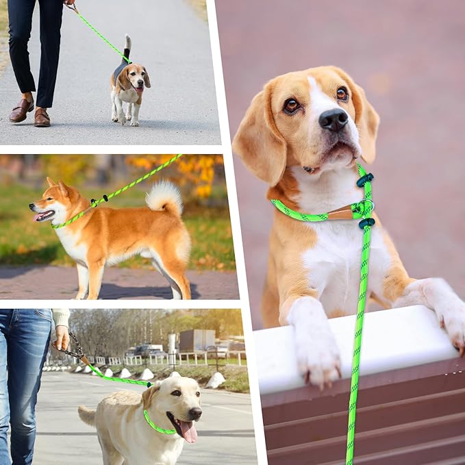 lynxking Slip Lead Dog Leash Reflective, Heavy Duty Comfortable Strong Rope for Large Medium Small Dogs No Pull Pet Training (Light Green, 2PCS Large 1/2in x 6ft)