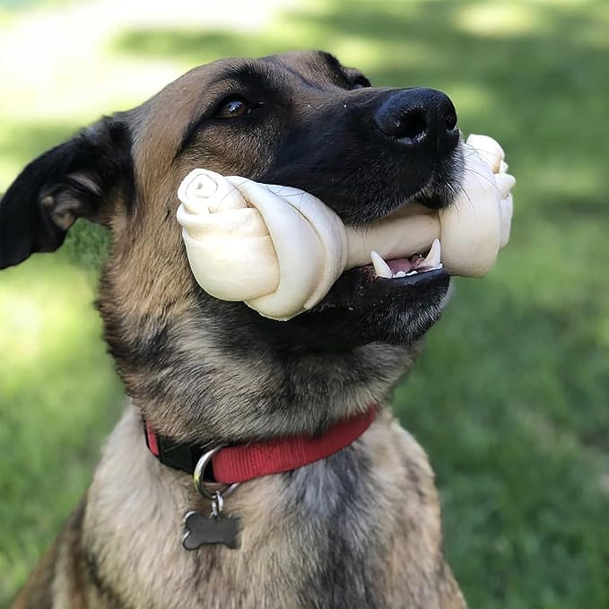 Pet Factory American Beefhide 12" Knotted Bone Dog Chew Treat - Natural Flavor, 1 Count/1 Pack