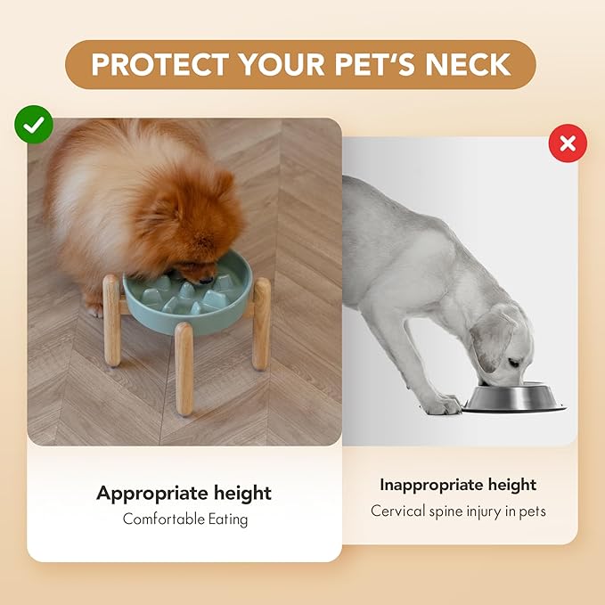 7.3inch Ceramic Dog Raised Slow Feeder Set, Elevated Bowl with Wooden Stand for Medium and Small Dog, Slow Feeder Dish for Fast Easters(Light Green, Single Bowl+ Stand)