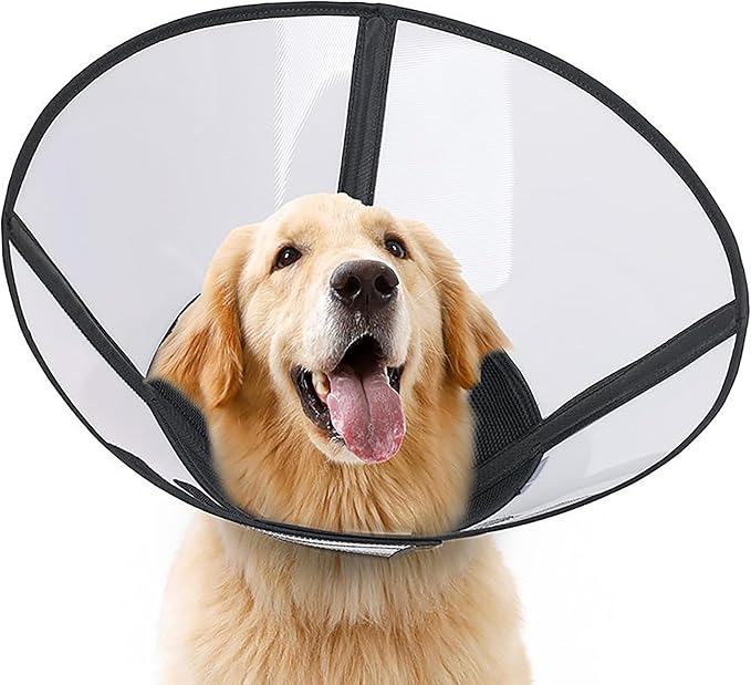 DogLemi Dog Cone Collar, Soft Dog Cone for Dogs After Surgery, Adjustable and Comfortable Elizabeth Collar, Used for Wound Care, Sterilization, Suitable for Medium to Large Dogs (XL)