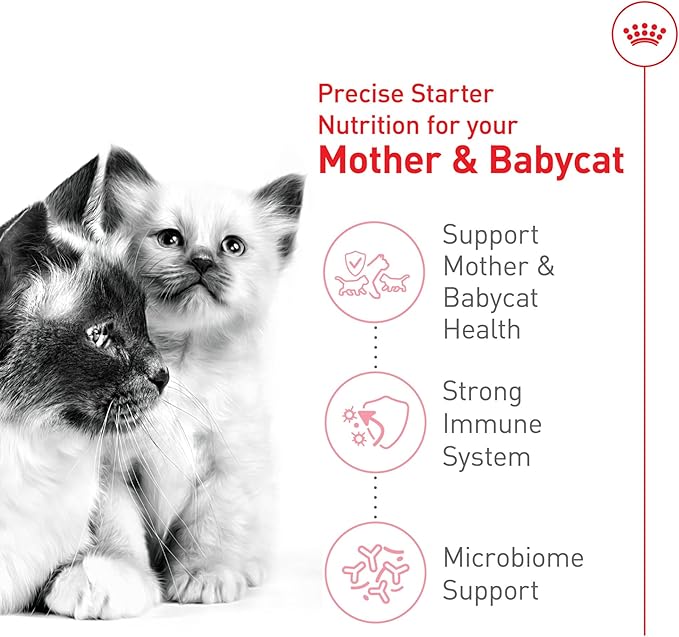Royal Canin Feline Health Nutrition Mother & Babycat Dry Cat Food for Newborn Kittens and Pregnant or Nursing Cats, 6 lb bag