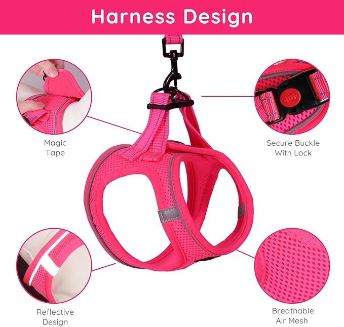 BELLA & PAL Step in Vest Harness for Small and Medium Dogs, No Pull Small Dog Harness with Leash Set, Comfortable Air Mesh Dog Vest Harness with Reflective Strip (Hot Pink, M)