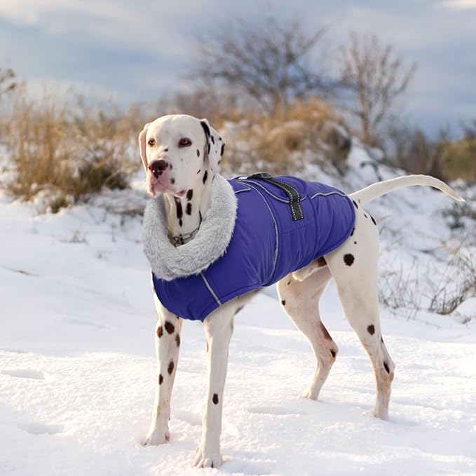 Lelepet Warm Dog Coat Reflective Fleece Vest Waterproof Dog Jacket with Adjustable Buckle Hook & Loop Windproof Cold Weather Coats for Small Medium Large Dogs, Blue, XXXL