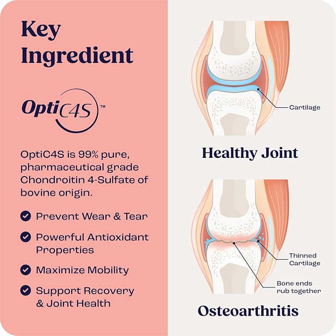 Summit Feline Pain Relief Supplement Inflammation Hip & Joint Support Vitamin for Cats - Natural Chrondroitin with Liposomal Delivery for Arthritis - Drug Free - All Ages