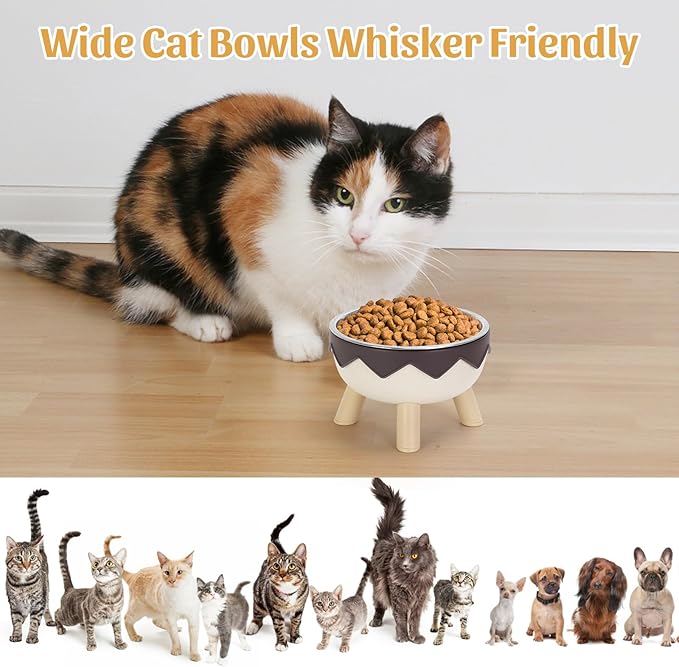 2 in 1 Raised Cat Bowls, Cute Cat Food Bowls Elevated with Non-Slip Stand, Detachable Anti Vomiting Stainless Steel Pet Bowl for Kitten, Cats, Puppies, Small Dogs Indoor/Outdoor